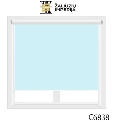 C6838